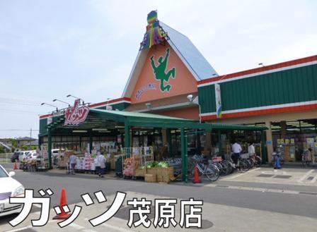 茂原市緑町の中古一戸建て(スーパーガッツ)