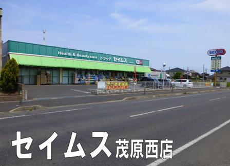 茂原市緑町の中古一戸建て(ドラッグセイムス茂原西店)