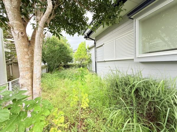 茂原市緑ケ丘4丁目の中古一戸建て(庭)