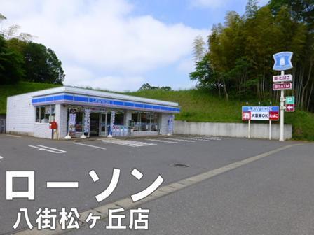 八街市八街ろの中古一戸建て(ローソン八街松ケ丘店)