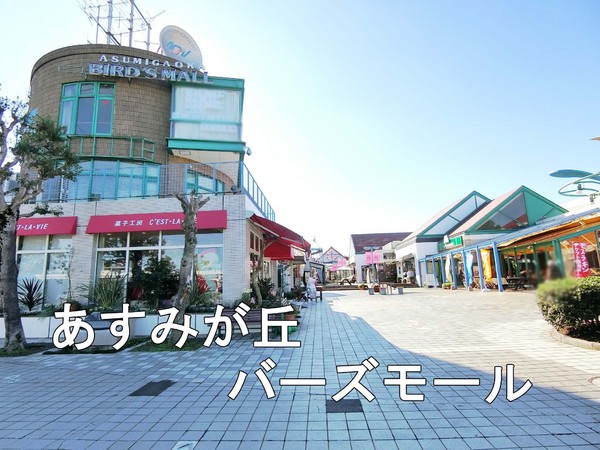 千葉市緑区土気町の新築一戸建(あすみが丘東急バーズモール)