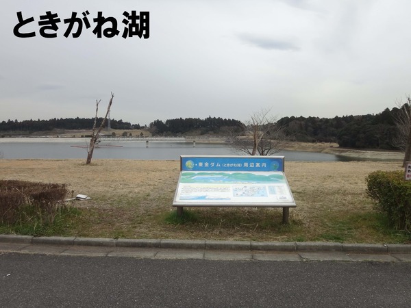 東金市南上宿の中古一戸建て(ときがね湖)