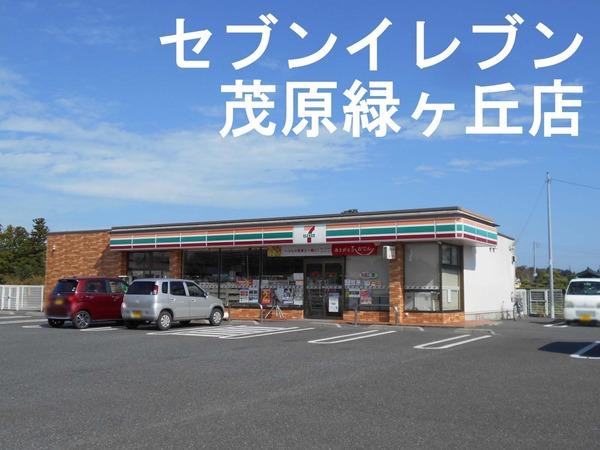 茂原市緑ケ丘１丁目の中古一戸建て(セブンイレブン茂原緑ヶ丘店)