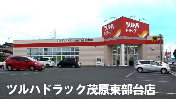 茂原市東部台３丁目の中古一戸建て(ツルハドラッグ茂原東部台店)