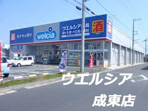 山武市島の中古一戸建て(ウエルシア薬局山武成東店)