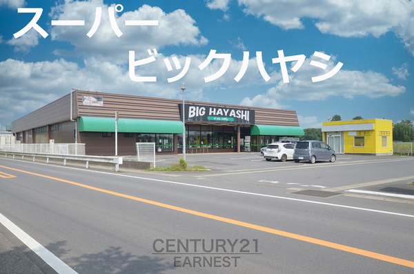 匝瑳市横須賀の中古一戸建て(ビッグハヤシ)