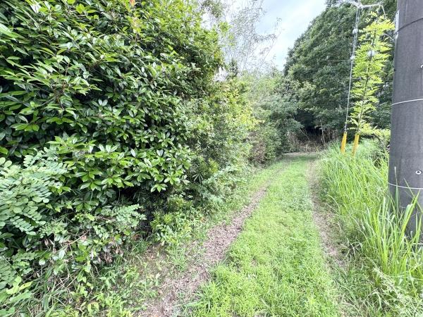 山武郡九十九里町不動堂の中古一戸建て