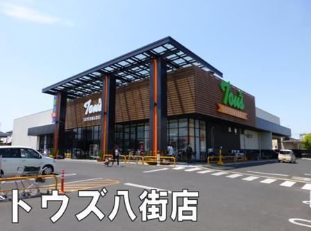 山武市大木の中古一戸建て(トウズ八街店)