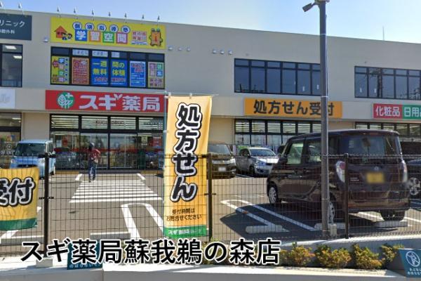 ダイアパレス蘇我(スギ薬局蘇我鵜の森店)