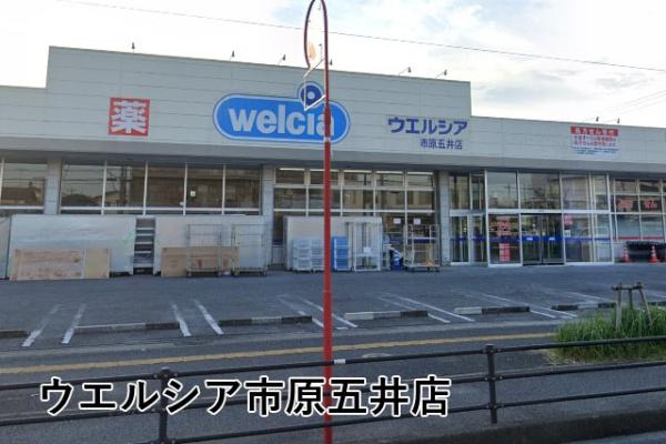 ダイアパレス五井ステーションタワー(ウエルシア市原五井店)