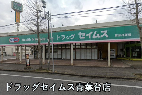 ダイアパレス千葉青葉台サウスアベニュー(ドラッグセイムス青葉台店)