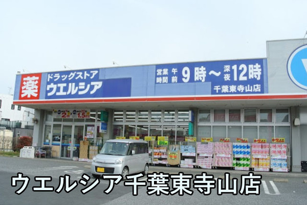 東千葉ハイツ4号棟(ウエルシア千葉東寺山店)