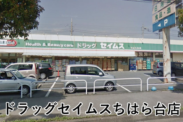 ウッドパークちはら台駅前O棟(ドラッグセイムスちはら台店)