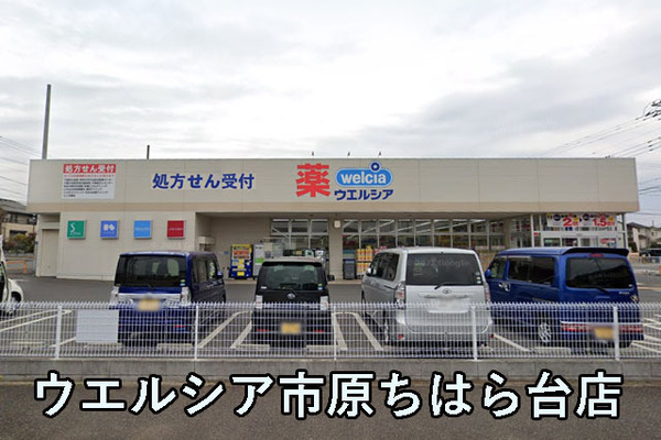 パークシティちはら台１号棟(ウエルシア市原ちはら台店)
