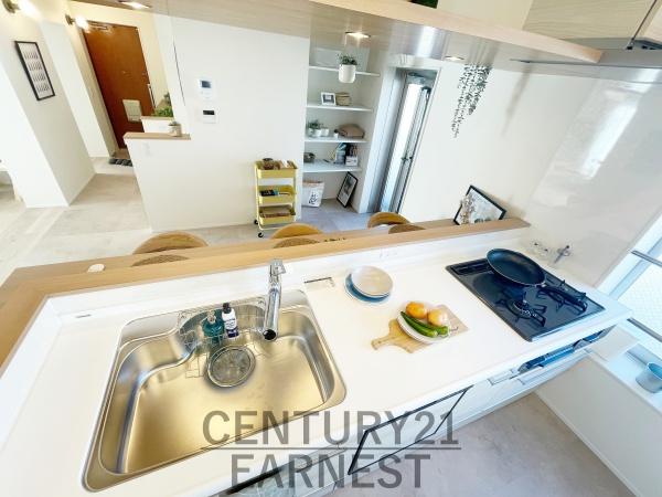 谷津遊園ハイツN棟(キッチン)