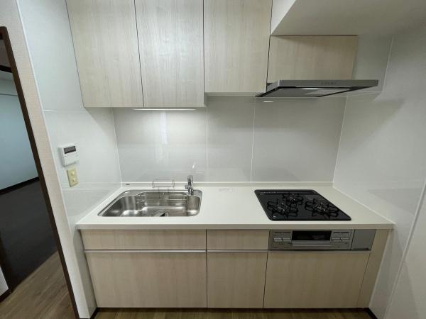 ダイアパレス稲毛緑園都市B棟(キッチン)