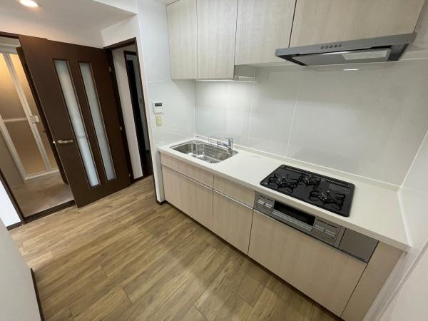 ダイアパレス稲毛緑園都市B棟(キッチン)