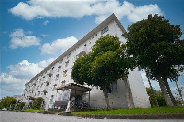 真砂一丁目団地　1-11-15号棟