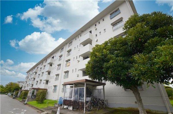 真砂一丁目団地　1-11-15号棟