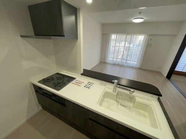 コスモステージ大久保　サウスプラザ