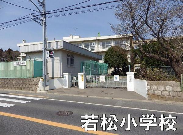ダイアパレス桜木3(千葉市立若松小学校)