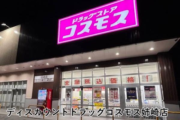 市原市姉崎の中古一戸建て(ディスカウントドラッグコスモス姉崎店)