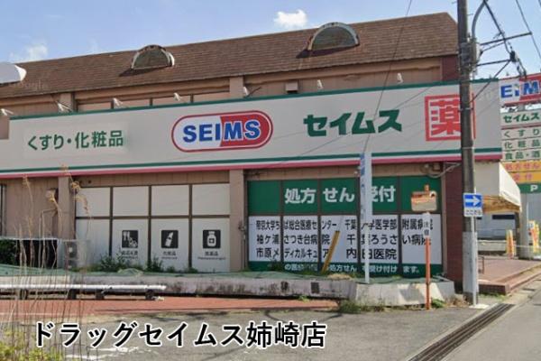 市原市姉崎の中古一戸建て(ドラッグセイムス姉崎店)
