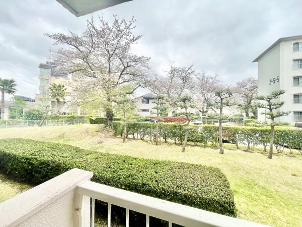 高洲二丁目団地5-4号棟