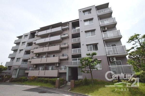 青葉の森公園通り１3号棟
