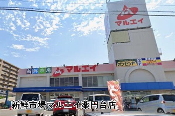ネオハイツ船橋薬円台公園(新鮮市場マルエイ薬円台店)