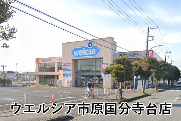 市原市光風台５丁目の中古一戸建て(ウエルシア市原国分寺台店)