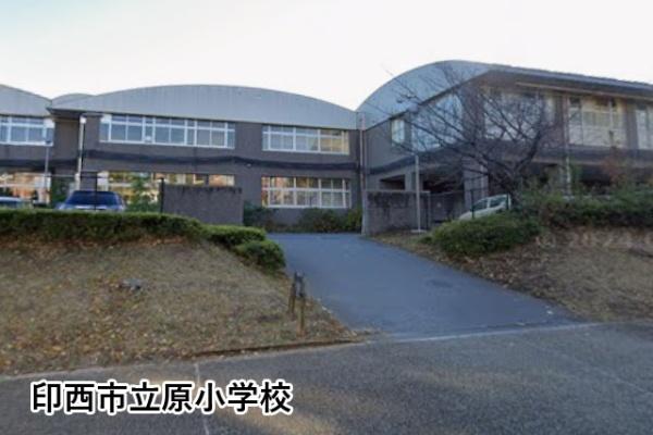 アバンドーネ五番街3号棟(印西市立原小学校)