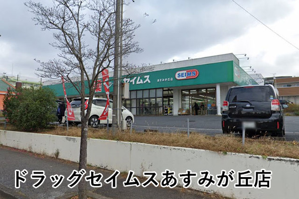 あすみが丘ガーデンコート丘の街十一番館(ドラッグセイムスあすみが丘店)