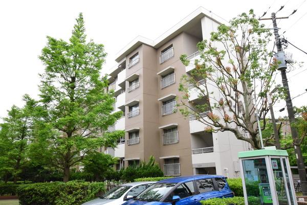 秋津第一団地1-2-4号棟