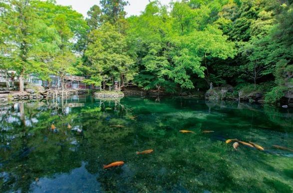 佐野市出流原町の土地(出流原弁天池)