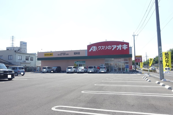 佐野市天神町の中古一戸建て(クスリのアオキ　堀米店)