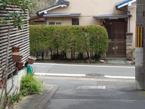 京都市伏見区桃山町泰長老の土地