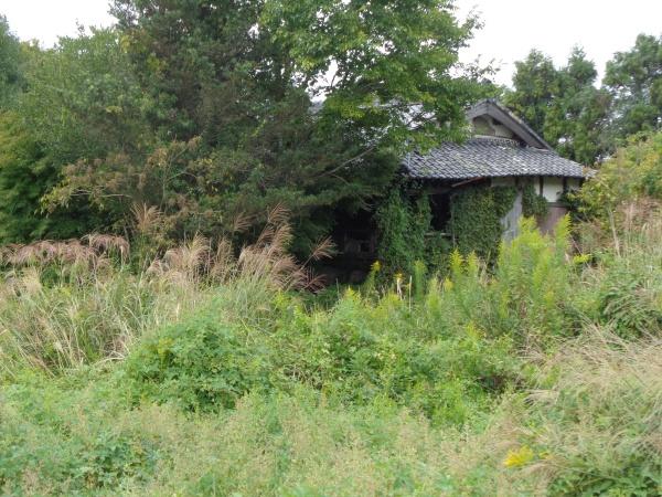 亀岡市保津町観音寺の土地