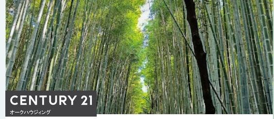 京都市右京区嵯峨天龍寺椎野町の中古一戸建て