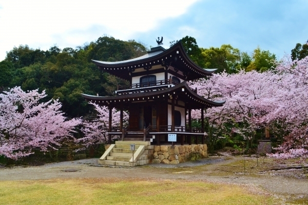京都市山科区西野山中鳥井町の中古一戸建て(勧修寺)