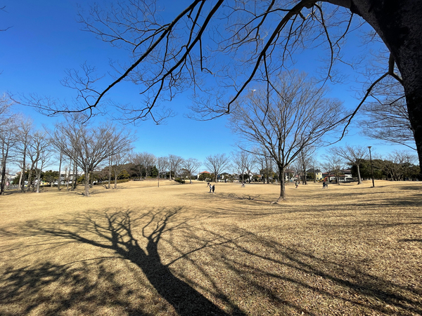八王子市北野台3丁目の新築一戸建(北野台中央公園)