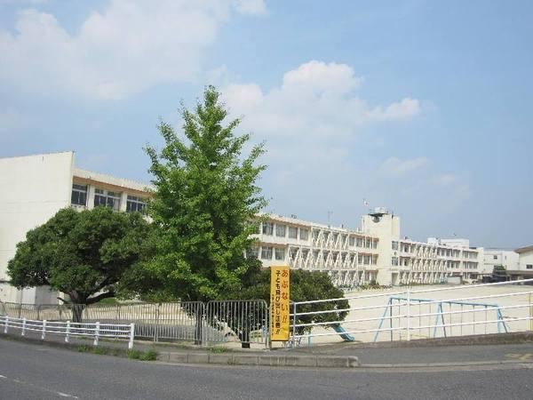 カスシア唐橋(大津市立晴嵐小学校)