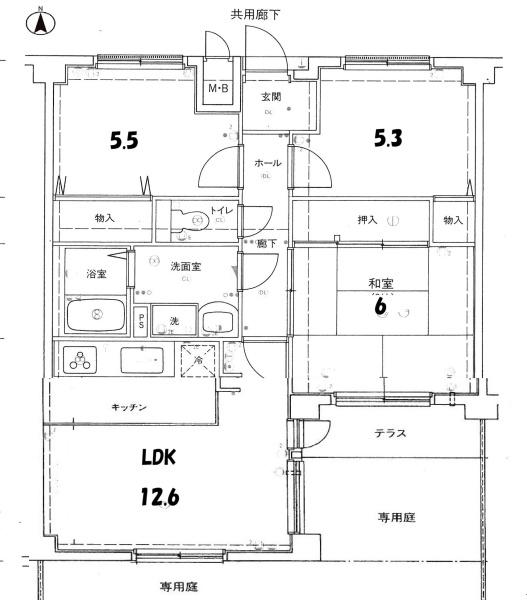 グローバル野路