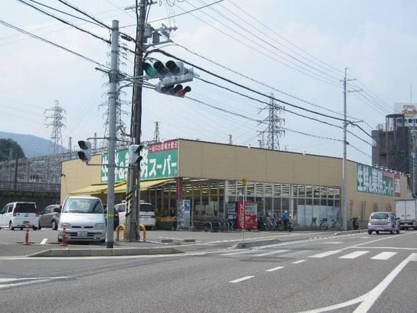 レックスガーデン大津石山(業務スーパー大津美崎店)