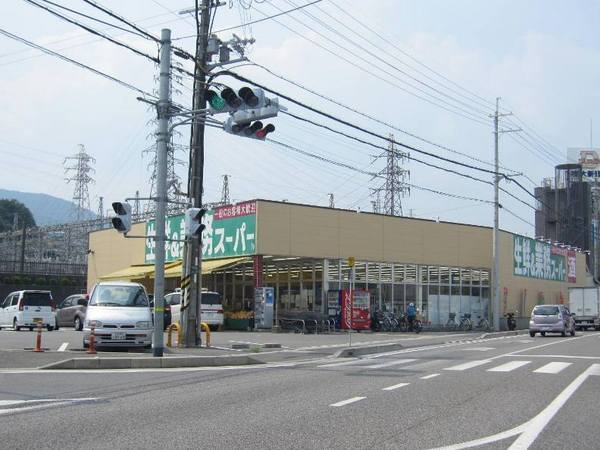 レックスガーデン大津石山(業務スーパー大津美崎店)