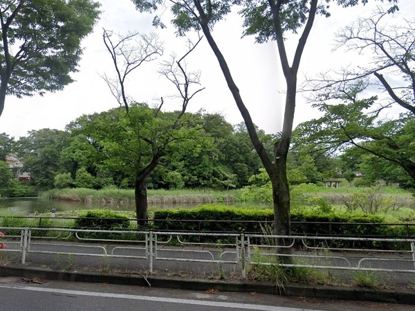 メディウス藤が丘(もえぎ野公園)