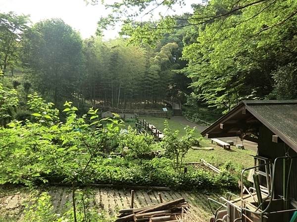 下飯田町・新築戸建(天王森泉公園)