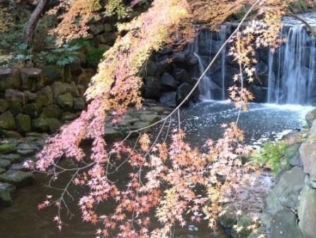 レーベンリヴァーレ横濱鶴ヶ峰ヒルズ(白根公園)
