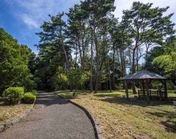 多摩市桜ヶ丘１丁目の中古一戸建て(原峰公園)