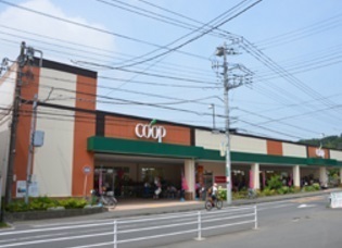 鶴ケ峰本町3丁目・新築戸建 5号棟(ユーコープ白根店)